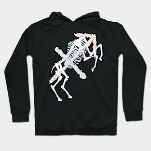 Sagittarius Skeleton - Colour outline Hoodie